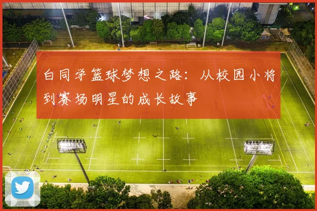 白同学篮球梦想之路：从校园小将到赛场明星的成长故事