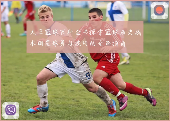 大卫篮球百科全书探索篮球历史战术明星球员与技巧的全面指南