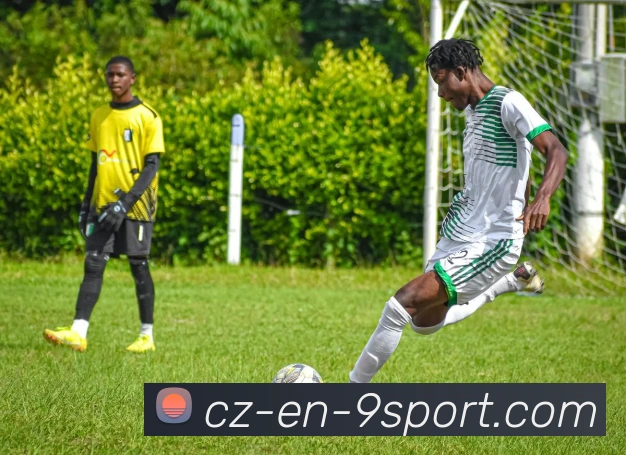 九游app平台生态图